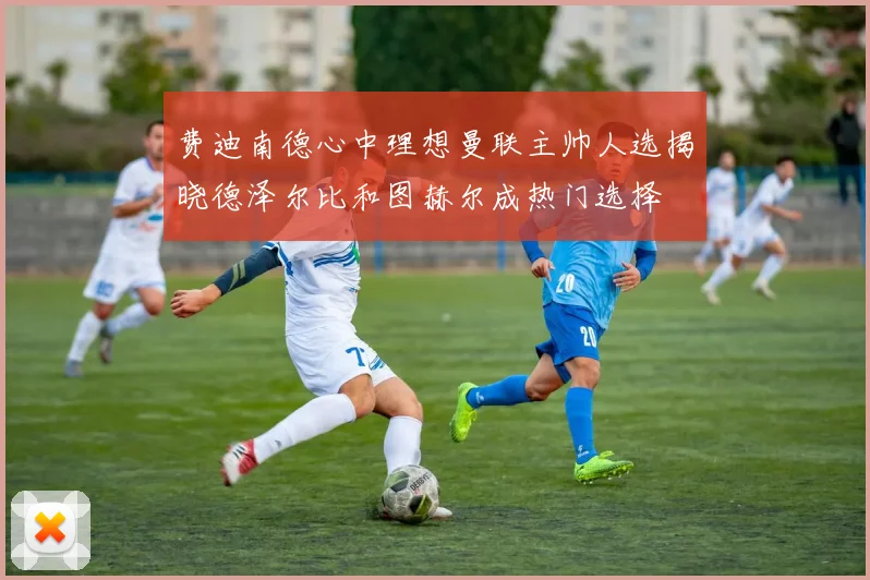 费迪南德心中理想曼联主帅人选揭晓德泽尔比和图赫尔成热门选择