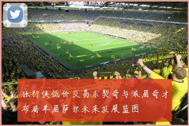 独行侠低价交易东契奇与浓眉奇才布局羊眉萨尔未来发展蓝图