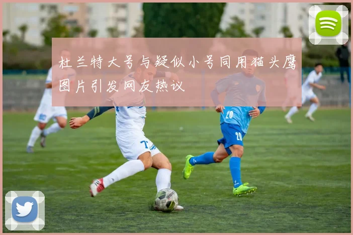 杜兰特大号与疑似小号同用猫头鹰图片引发网友热议