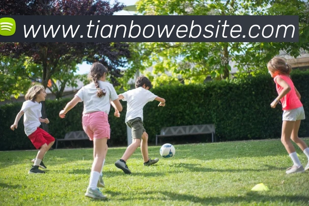 多媒体互动体验