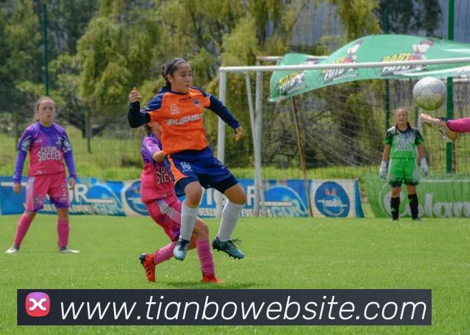 天博体育APP 高清赛事图