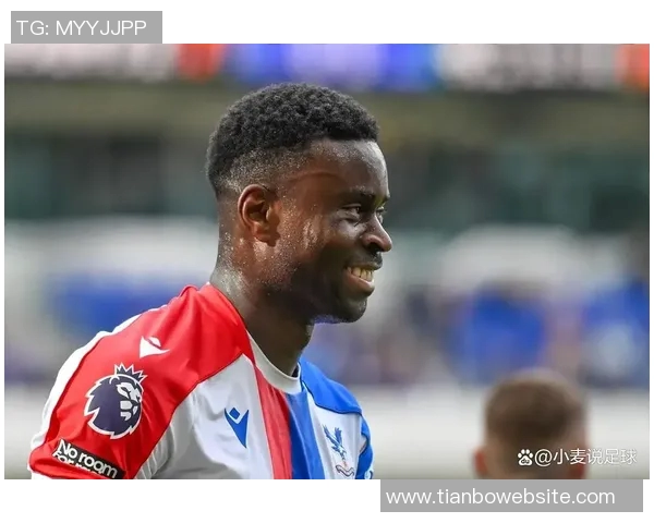 水晶宫计划冬窗出售身价5000万格伊红军将面临皇萨仁激烈竞争 水晶宫计划冬窗出售身价5000万格伊红军将面临皇萨仁激烈竞争